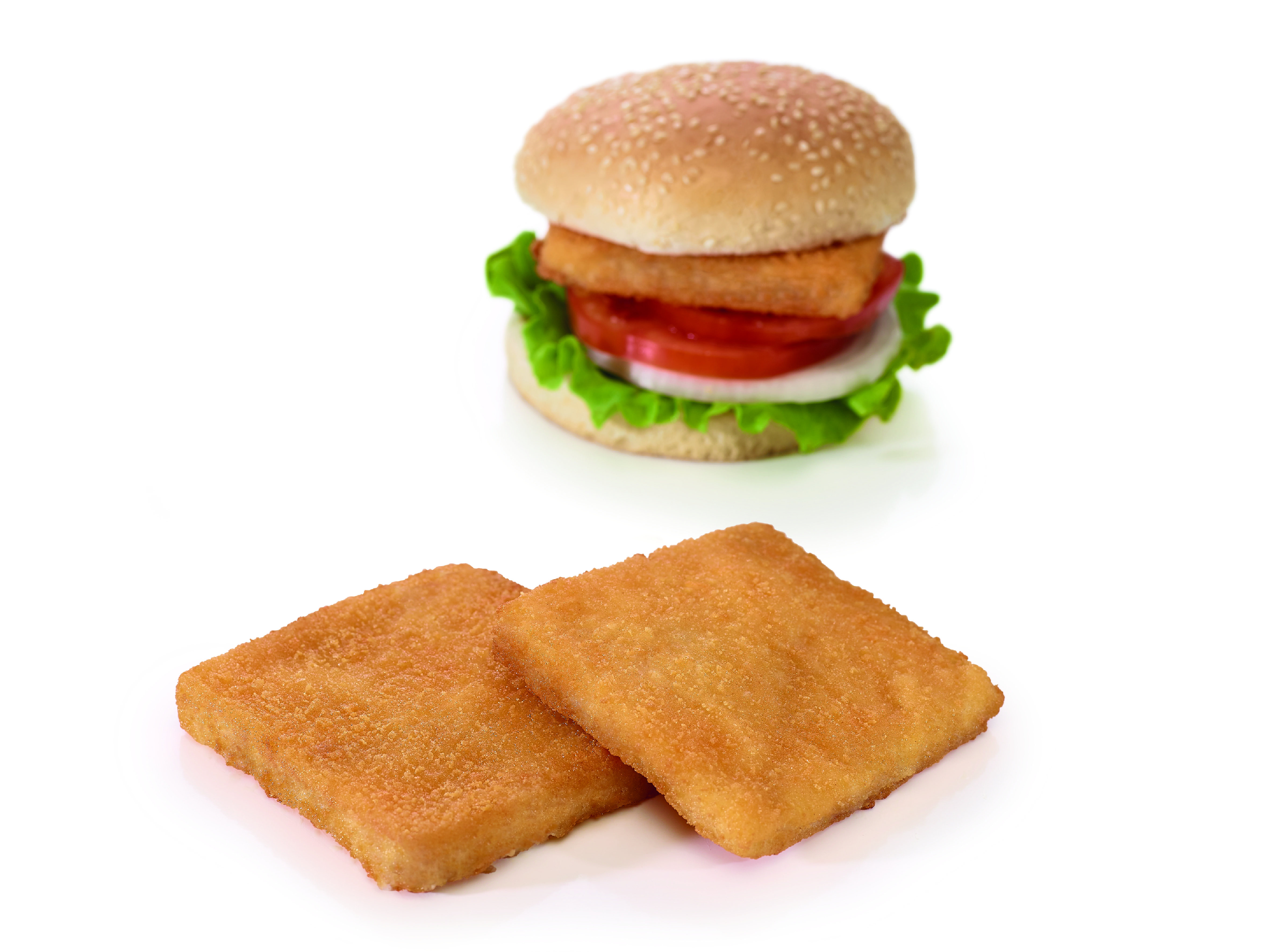 Fish burger panko_Descargas