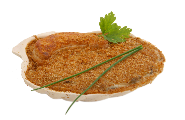 Vieira-gallega.png